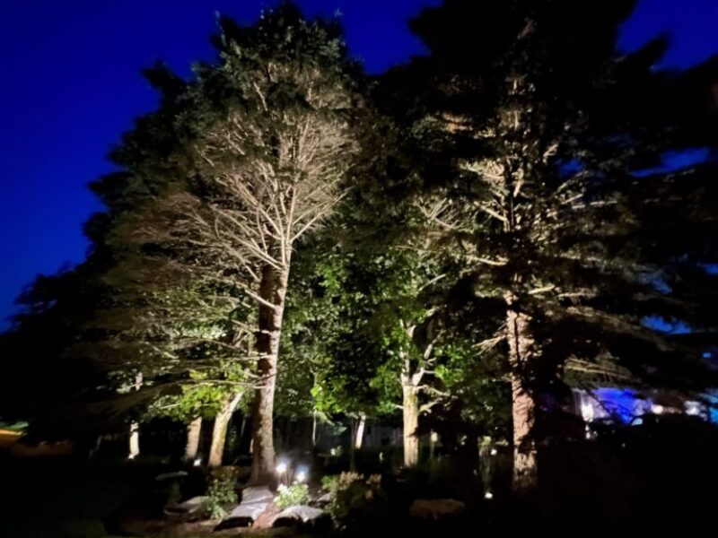 Landscape Lighting (11) Landscape Lighting (11)