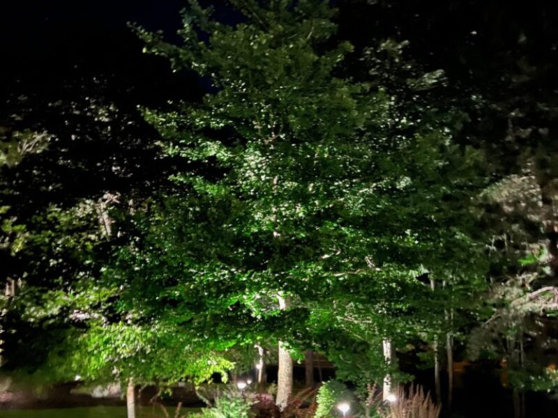 Landscape Lighting (4) Landscape Lighting (4)