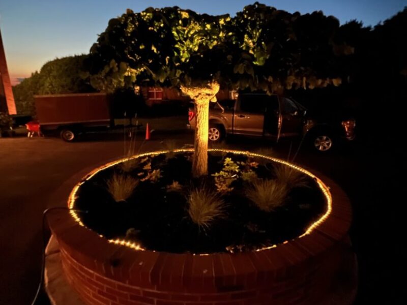 Landscape Lighting (9) Landscape Lighting (9)
